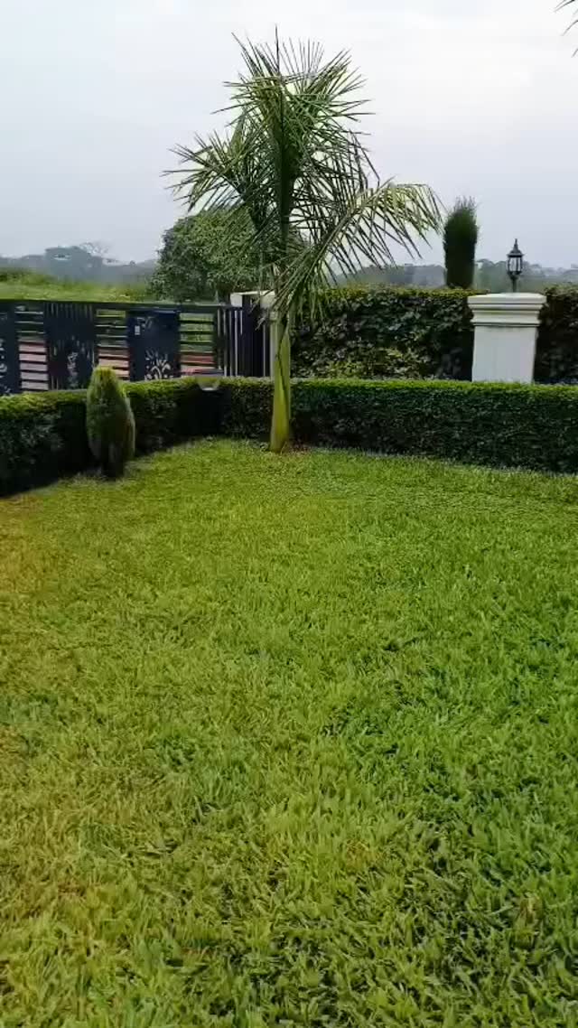 Kenya landscaping garden
