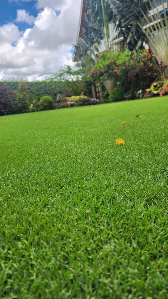 garden design kenya